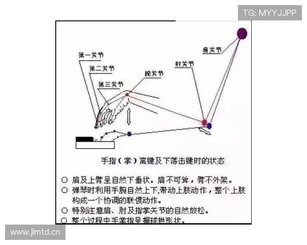 篮球规则详解：翻腕违例的判定标准与纠正技巧